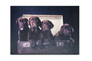 IMAGOS, https://dev1-mda.konsimo.pl/kolekcja/imagos/ Obraz pieski brązowy/czarny/kremowy - zdjęcie