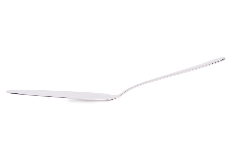 BRYON Łopatka do ciasta srebrny - zdjęcie 1