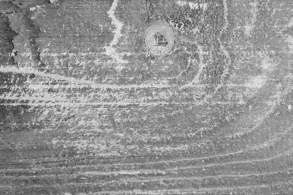 CAPULIUS Skrzynka z uchwytem szary - zdjęcie 2