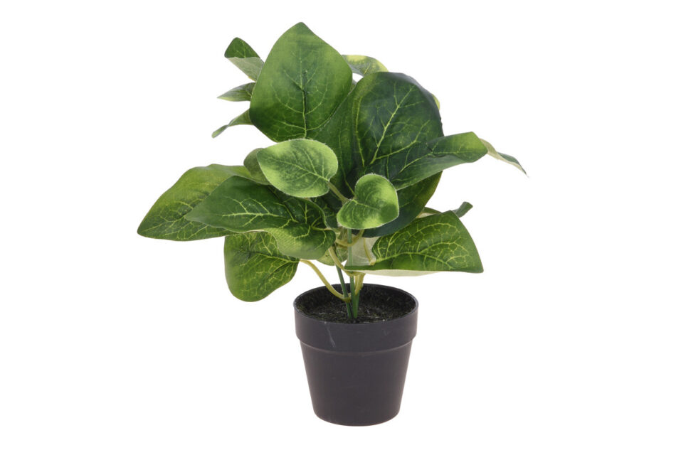 BLUMISI Kwiat w doniczce zielony/czarny - zdjęcie 0