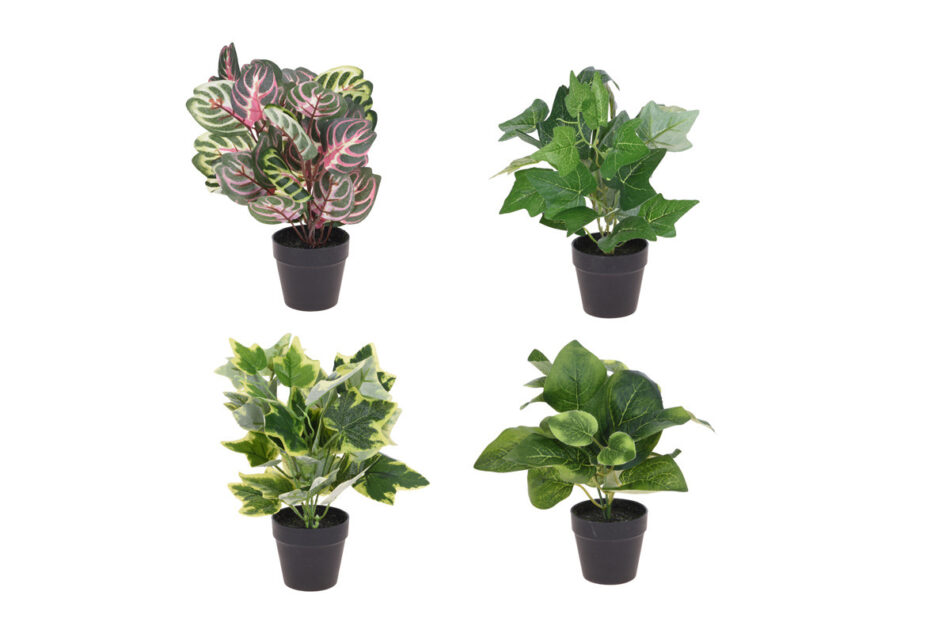 BLUMISI Kwiat w doniczce zielony/czarny - zdjęcie 1