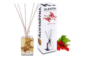 OLENTIA, https://dev1-mda.konsimo.pl/kolekcja/olentia/ Dyfuzor zapachowy żurawina - zdjęcie
