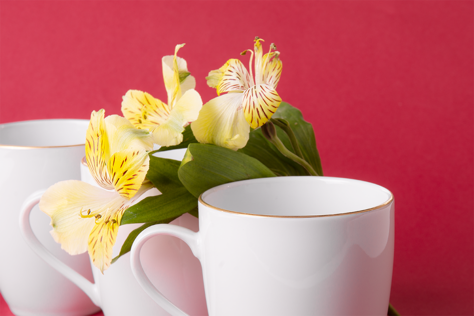 NORA ZŁOTA LINIA Kubek Złota Linia - zdjęcie 2