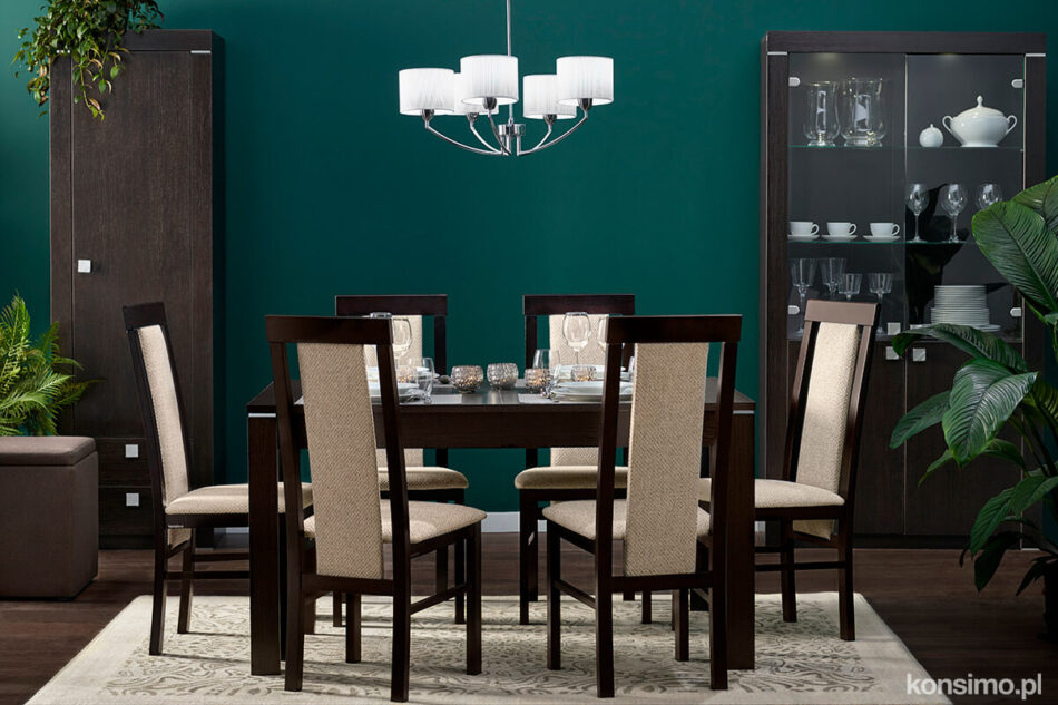 ENDIVE Regał wenge - zdjęcie 1