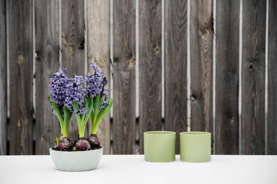 TILUS Osłonka do kwiatów zielony/matowy - zdjęcie 1