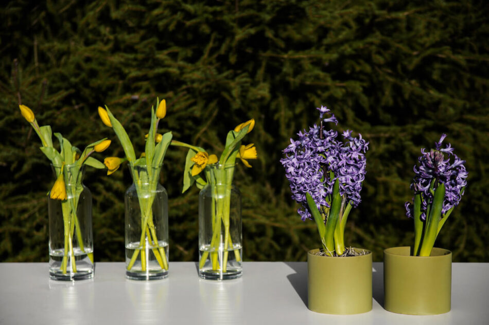 TILUS Osłonka do kwiatów zielony/matowy - zdjęcie 3