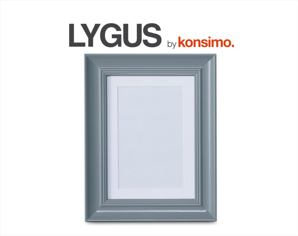 LYGUS Ramka szary - zdjęcie 3