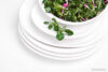 RESEDA Zestaw obiadowy, 4 os. (12el) biały - zdjęcie 8