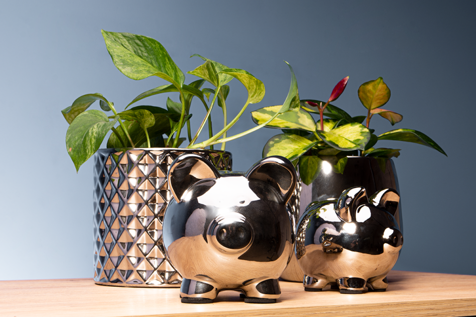 TIBILLO Świnka skarbonka srebrny - zdjęcie 3